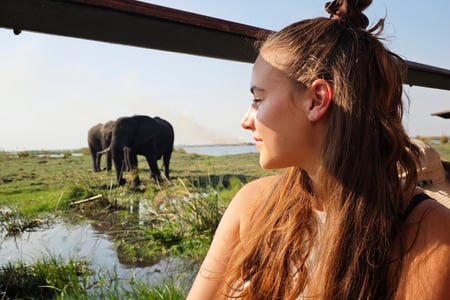 Experience a safari in Botswana