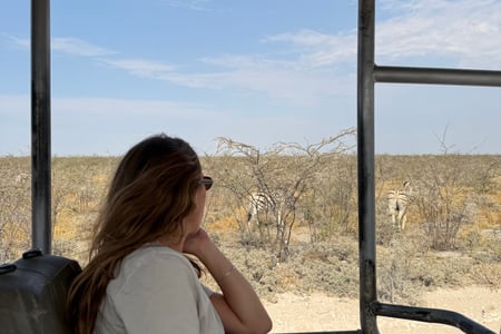 Safari ride