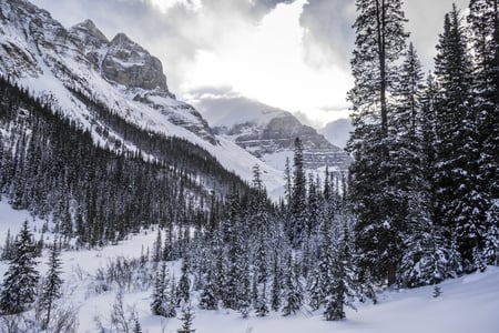 Banff National Park, Alberta, Kanada