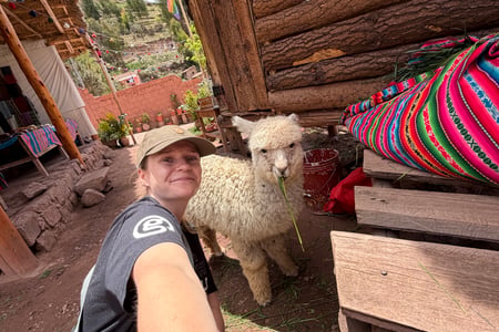 Llama on the Inca Trail