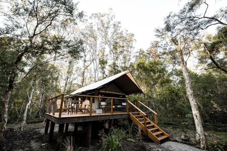 Paperbark Camp