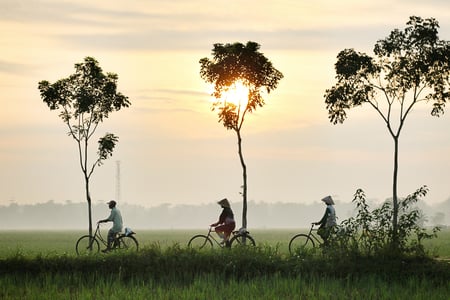 Cykeltur bland risterrasser i Indonesien