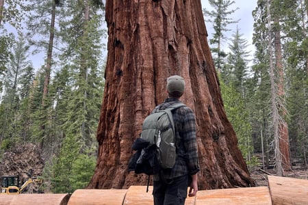 Kings Canyon National Park