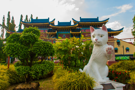 "Kuching" is both a city name and the word for cat