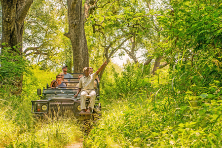 Becks Safari Lodge i Karongwe Game Reserve
