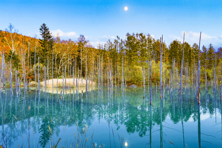 Shirogane Blue Pond i Biei