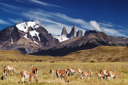 Torres del Paine National Park