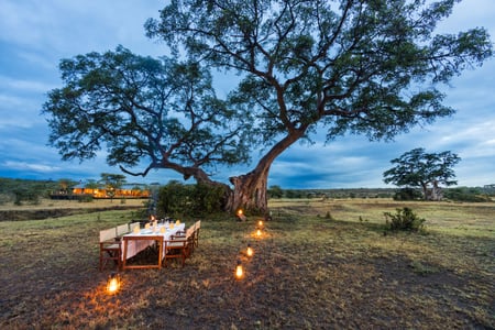 Saruni Leopard Hill i Masai Mara i Kenya