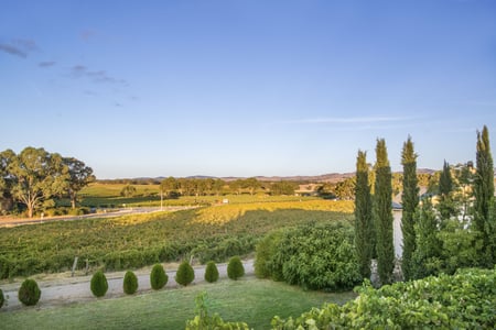 Barossa Shiraz Estate