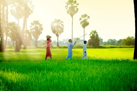 Rismarkerne ved Ubud