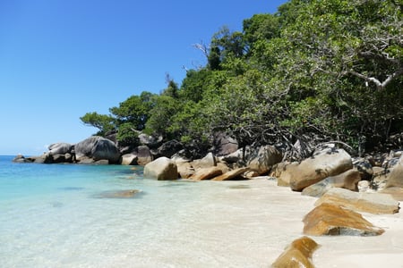 Frodig natur och vita stränder i Australien