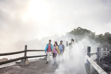 Det termiske område, Hells Gate ved Rotorua