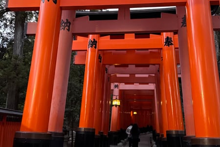 Visit iconic sights such as the Fushimi-Inari