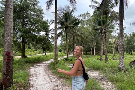 Reis door Cambodja
