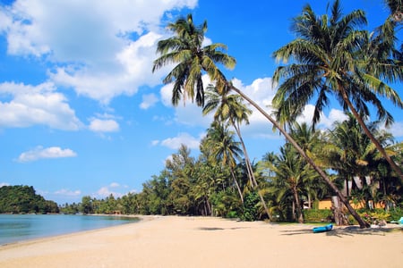 Nyd ølivet på Koh Chang
