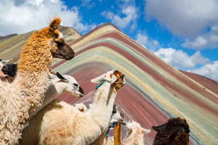 Regnbuebjerget, Vinicunca