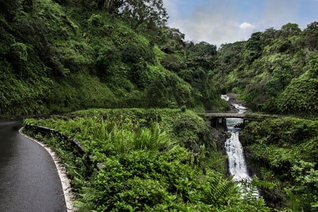 Road to Hana Highway, Maui, Hawaii, USA