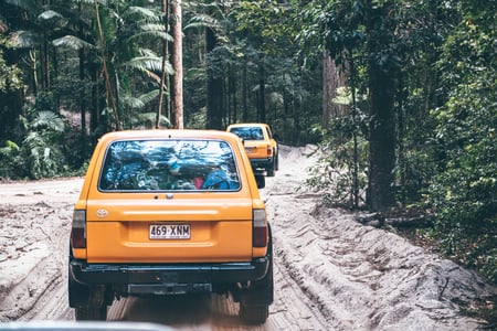 K'Gari safari adventure