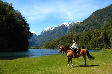 Horse