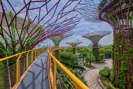 Gardens by the Bay med enorme trækonstruktioner