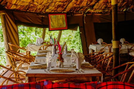 Vi hjälper dig hitta häftiga boenden i Tanzania.