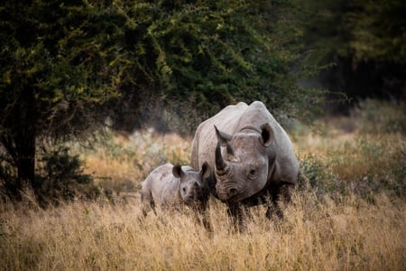 Se alla medlemmarna i "The Big Five"
