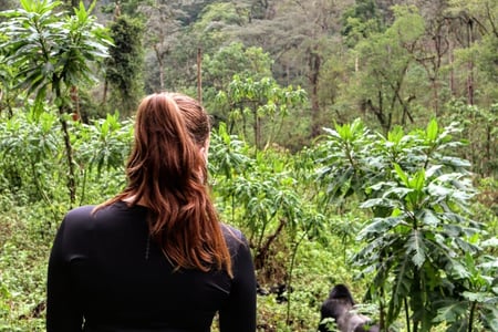 Bwindi Impenetrable Forest
