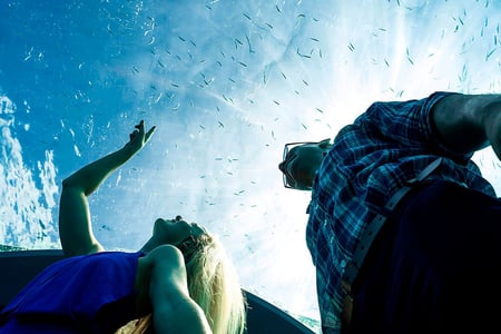 Restaurant H2O på You & Me by Cocoon