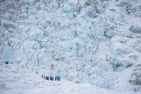 Vandrare på Franz Josef-glaciären