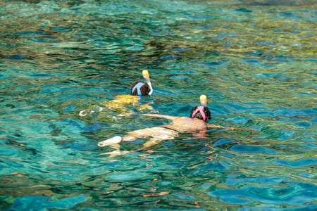 Snorkeling