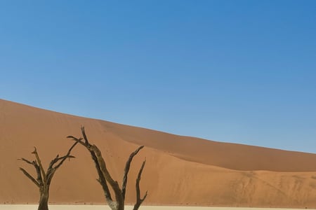 Deadvlei i Namibia 