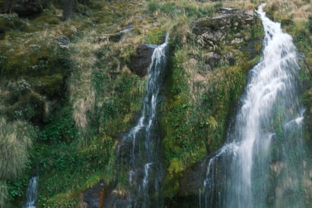Nature of New Zealand