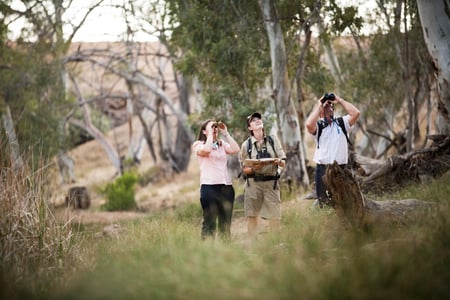 På vandring ved Arkaba Homestead