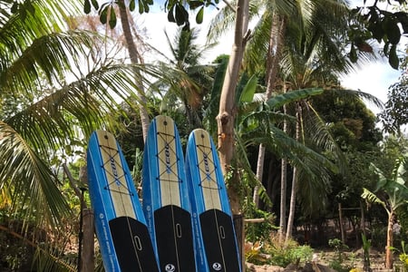 Isla Ometepe, Nigaragua