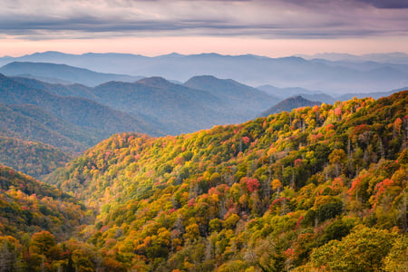 Make a stop in the Great Smoky Mountains