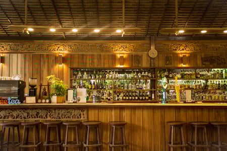 Baren på Elephant Hills