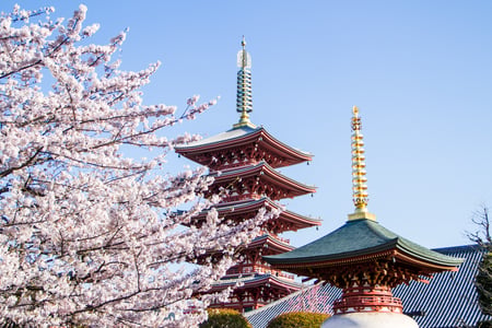 Pagode i Tokyo