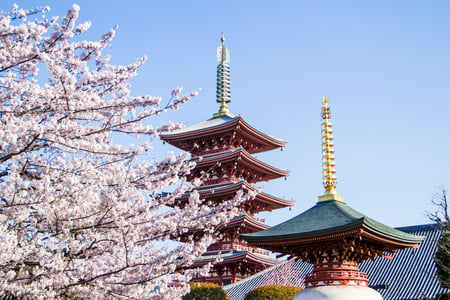 Pagode i Tokyo