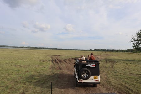 Ga op safari in Sri Lanka