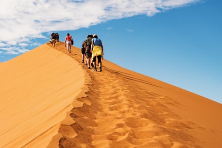 Bestig de höga sanddynerna i Sossusvlei