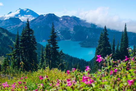 Naturen ved Whistler