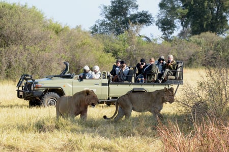 Game drive i Okavango delta