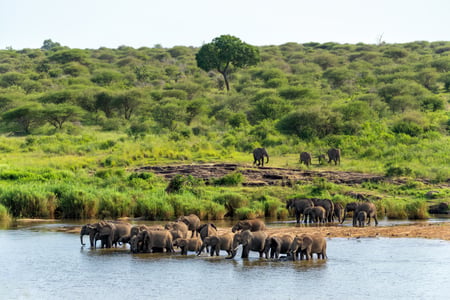 Kruger National Park i Sydafrika