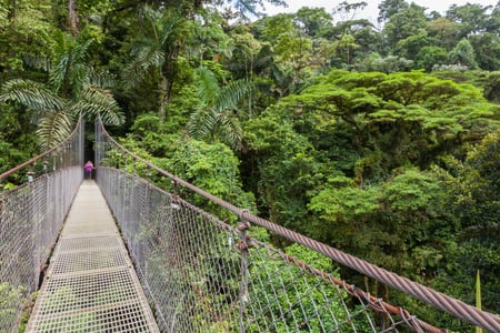 Mistico Arenal Hanging Bridges Park i Arenal