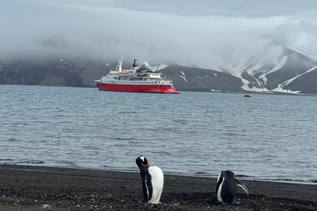 Penguins and expedition ship