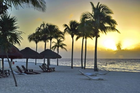 Solnedgång och vajande palmer i Mexico