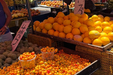 Explore colorful markets in Brazil