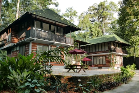 Rompin Rainforest Lodge