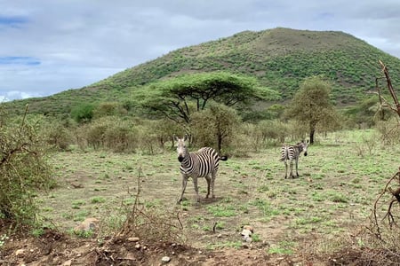 Tsavo West National Park