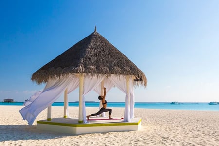 Find roen i de idylliske omgivelser